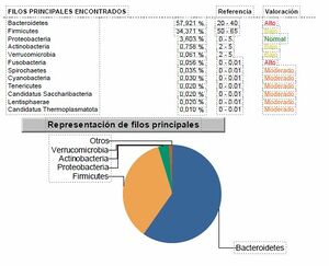 Filos principales muestra heces.jpg